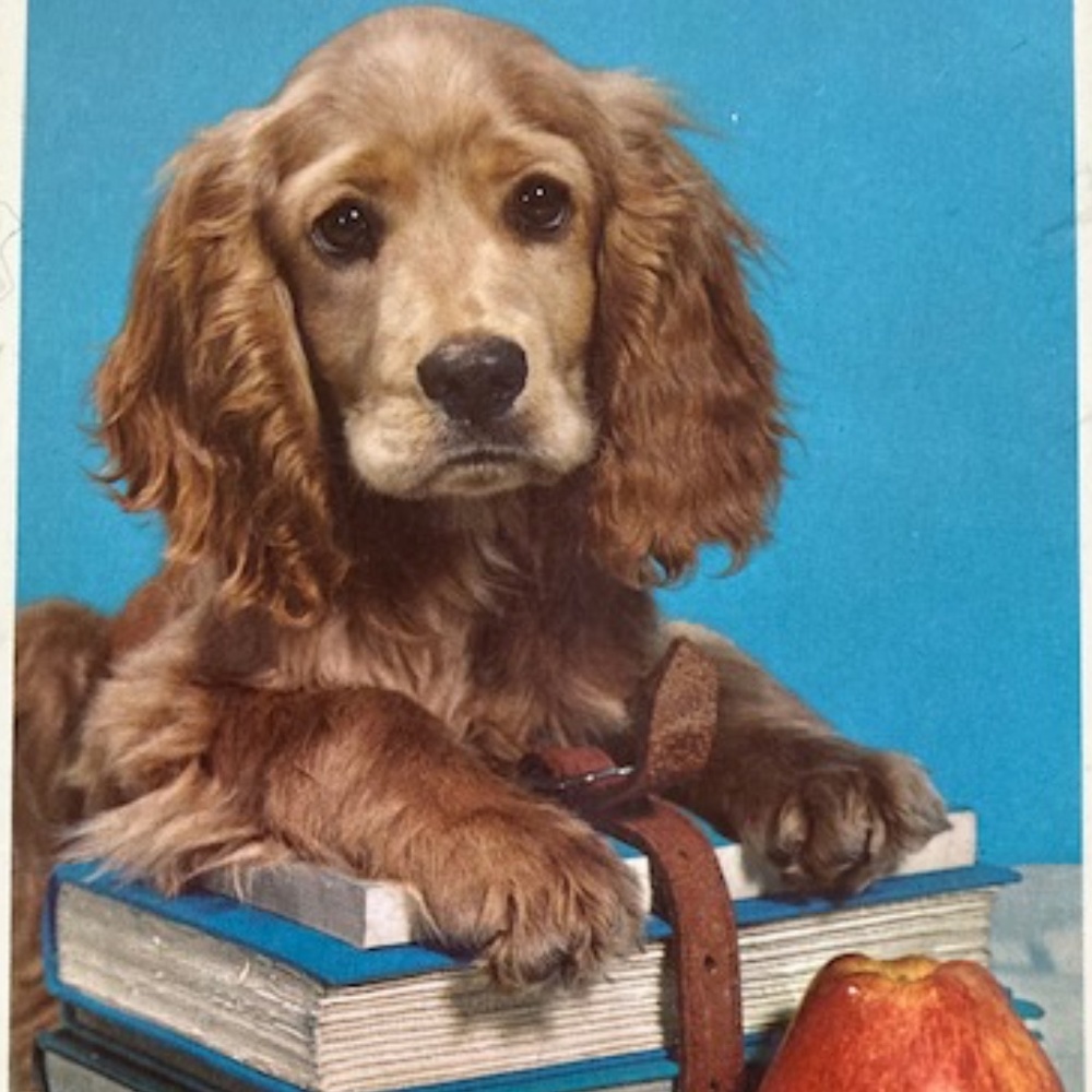 Universal Thread Tunic Shirt - image 7